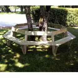 Banc d'arbre, en bois, dans un jardin public