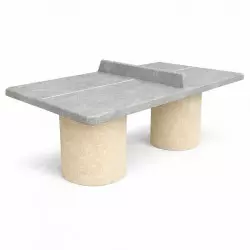 Table ping pong enfant