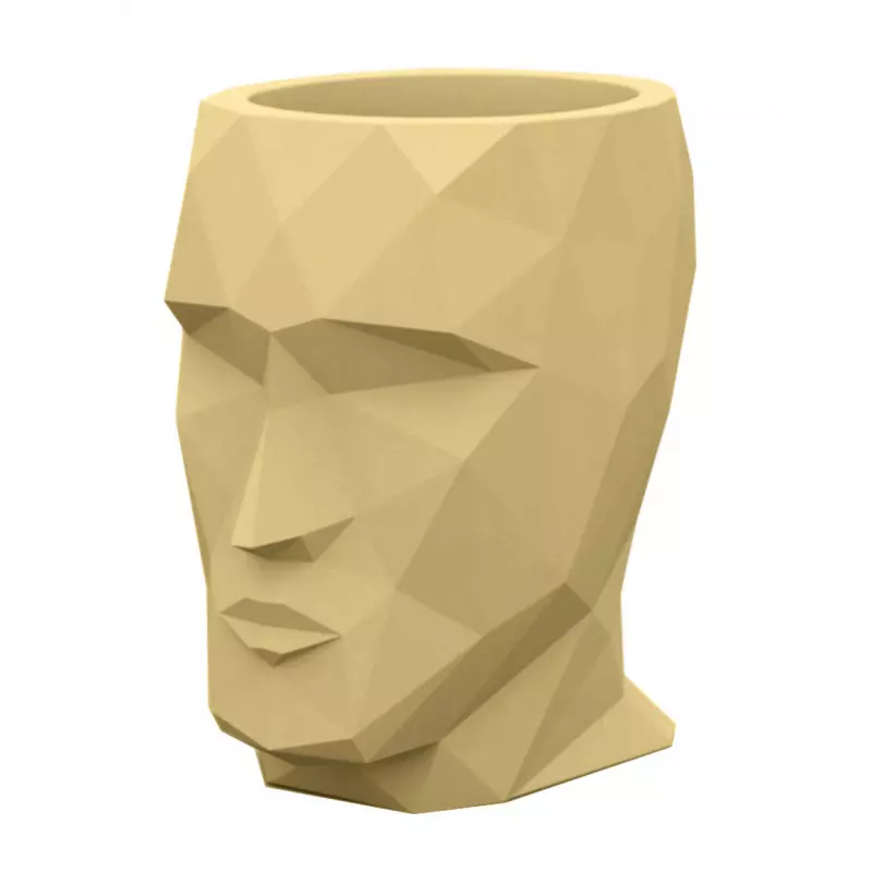 Cache pot design en forme de visage