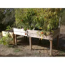 Table potagère en bois...