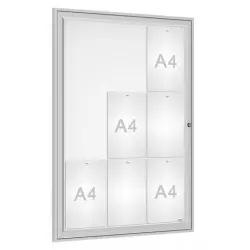 Vitrine extérieure Tradition anodisée PROCITY - porte battante