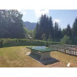 Table ping pong en béton verte