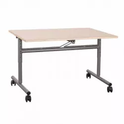 120 x 60 cm - Table de...