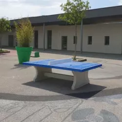 Table pingpong en béton Bleue