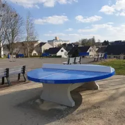 Table de ping pong ronde en béton bleue