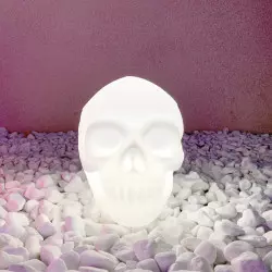 Skull déco LED