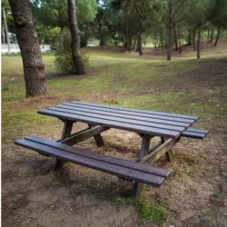 Table pique-nique TRADITIONNELLE en plastique recyclé