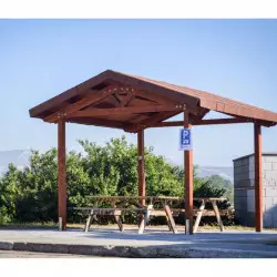 Abri en Douglas pour table de pique-nique