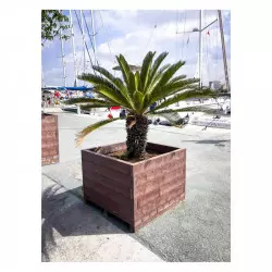 Jardinière urbaine - Bac-pour-arbuste Jardinière urbaine - Bac-pour-arbuste