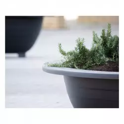 Jardinière urbaine - Bac à palmier Jardinière urbaine - Bac à palmier