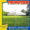 Abri stand parapluie classique
