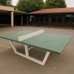 table ping pong fixe