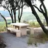 Ensemble pique-nique en béton blanc