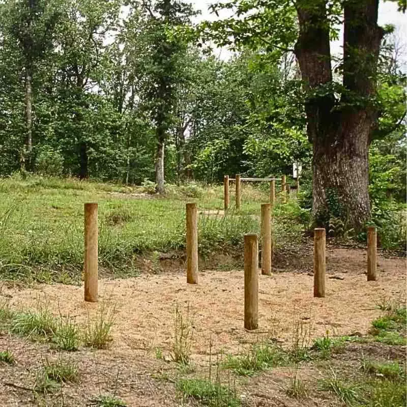 Module de fitness extérieur en bois pour parcours sportif