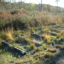 Module pour parcours sportif plein air 5 rondins en bois à sauter