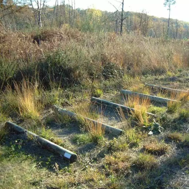 Module pour parcours sportif plein air 5 rondins en bois à sauter