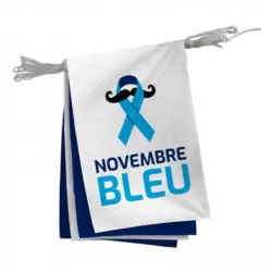 Guirlande en tissu avec 20 fanions alternés Novembre bleu