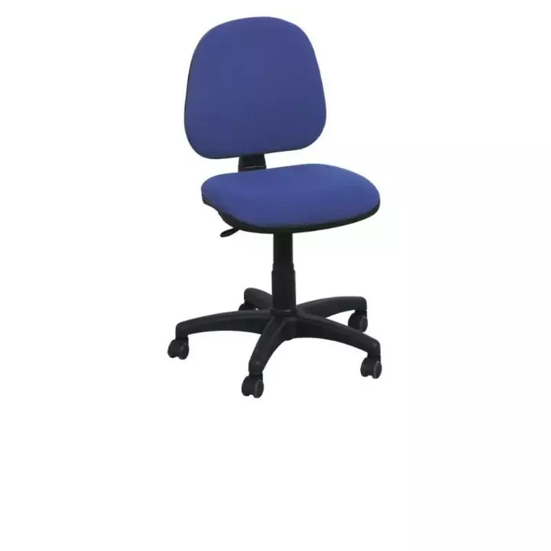 Chaise de bureau professionnelle en tissu bleu, autres coloris disponibles