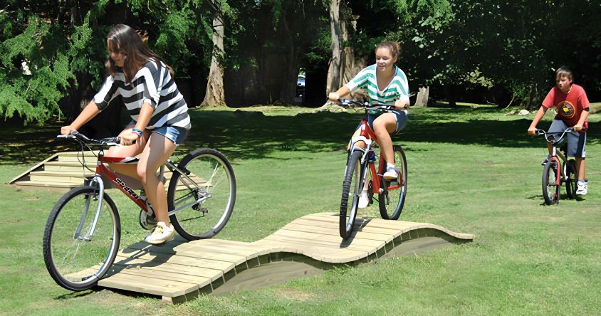 module vtt